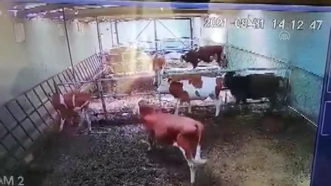 AFYONKARAHİSAR - Kütahya'da 5 büyüklüğündeki deprem Afyonkarahisar'da da hissedildi (2)