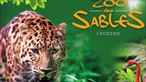 Visite au Zoo des Sables D ' Olonne ( Vendée ) , Mardi 31 Août 2021
