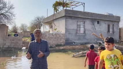 Son dakika haberi: SURUÇ'TA TABAN SUYU YÜKSELDİ, TARLA VE EVLER SU ALTINDA KALDI