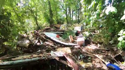 Search and Rescue Efforts in Waverly, Tennessee