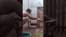 Cockatiel Sings as Owner Cleans