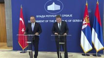 Sırbistan Dışişleri Bakanı Selakovic, Çavuşoğlu ile ortak basın toplantısında konuştu