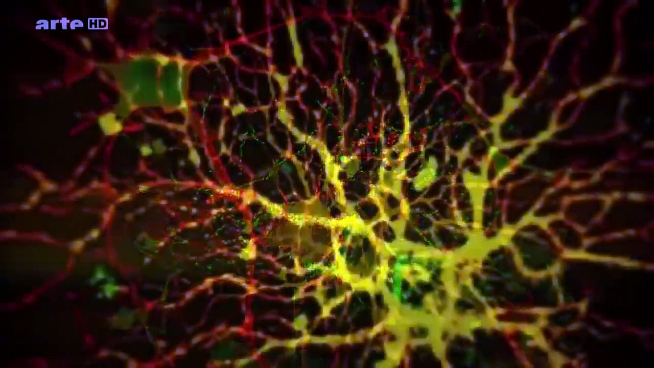 Les mystères du cerveau Humain -   HD