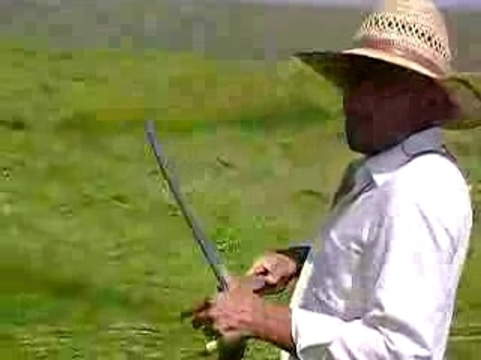 TEPELER