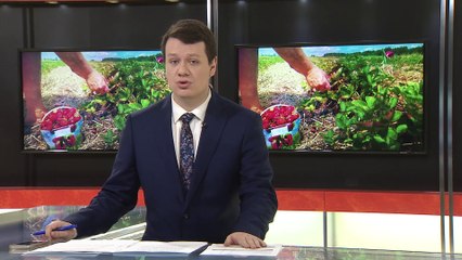 TVA Nouvelles CHAU 12h 31 août 2021