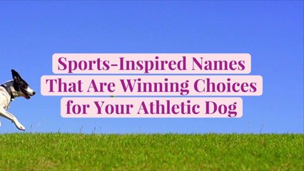 44 Sports-Inspired Names That Are Winning Choices for Your Athletic Dog