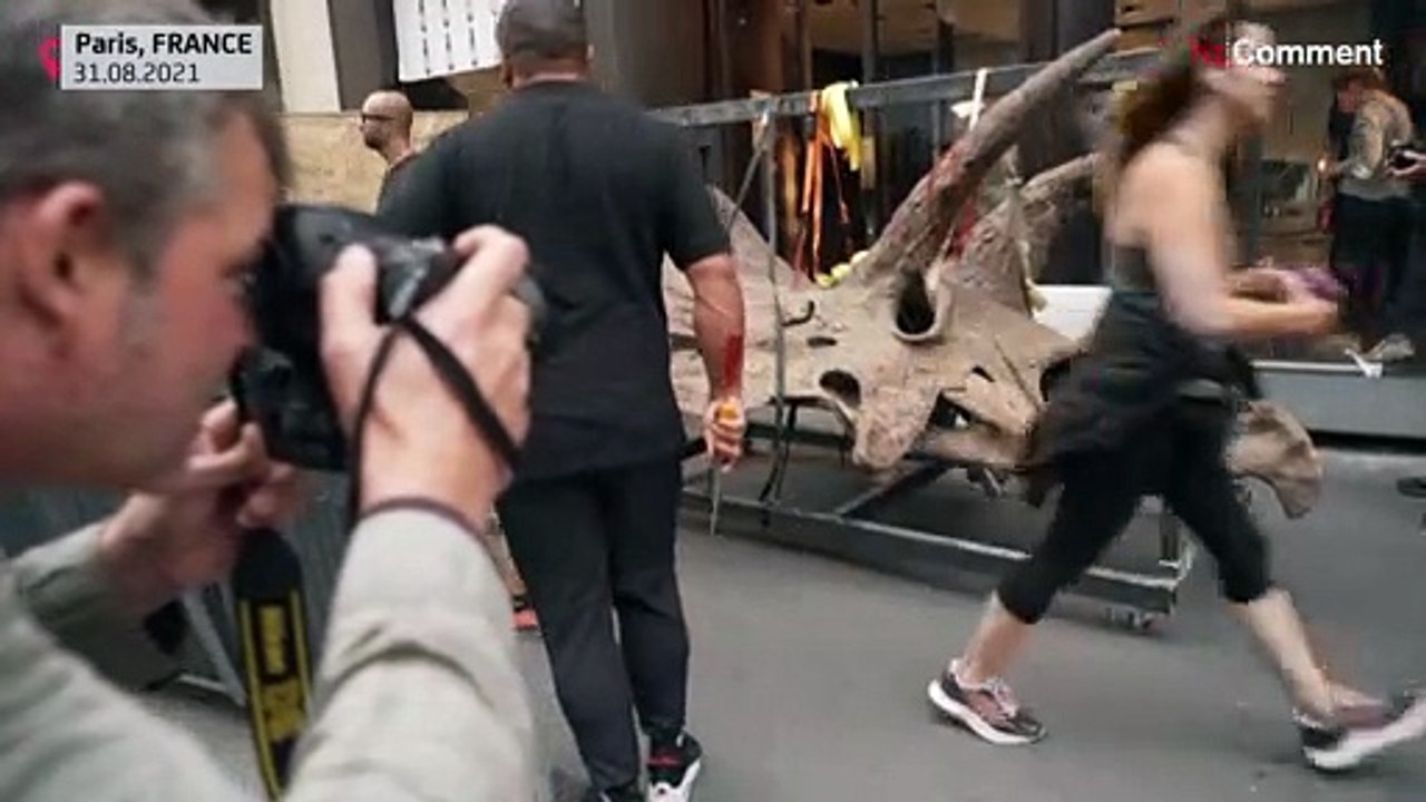 Acht Meter Dinosaurier vor dem Verkauf