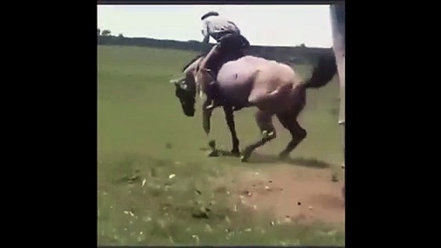Ce cavalier réalise un flip impossible et pas vraiment prévu