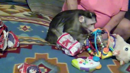 Destiny Christmas 2020