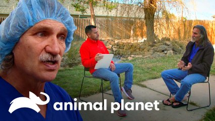 Conoce íntimamente los 30 años de carrera del Dr Jeff | Dr. Jeff, Veterinario | Animal Planet