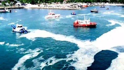 Balık sezonunda deniz salyası tehlikesi