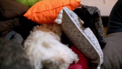 Why You Should Clean Your Mattress – and the Proper Way to Do It