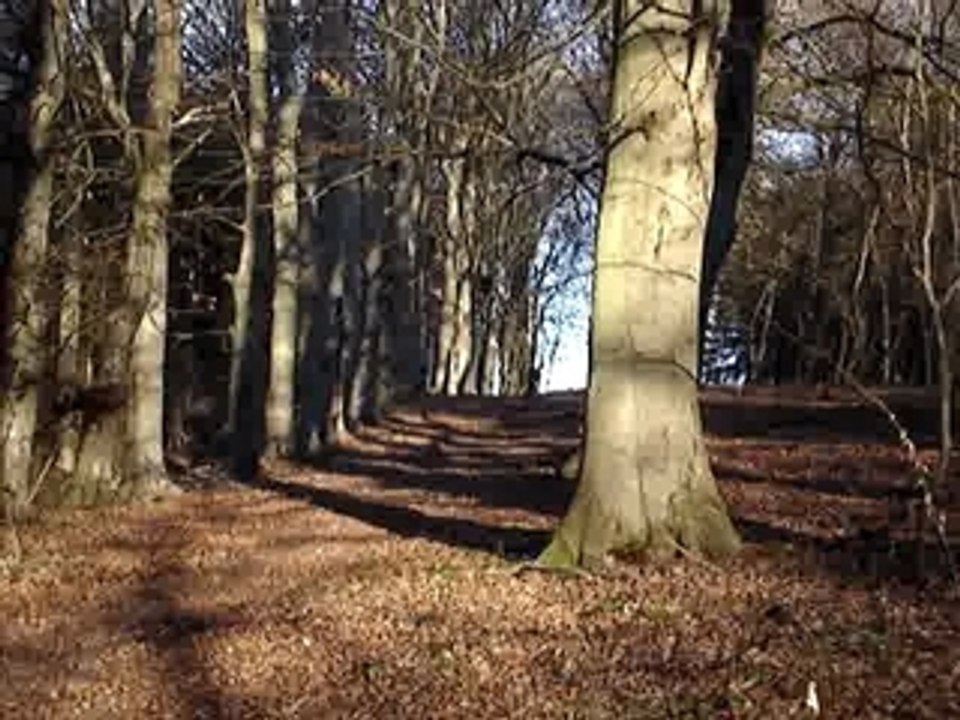 MOV01910