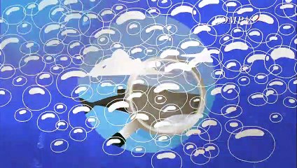 Ini Sebabnya Mengapa Ikan Paus Suka Menyemburkan Air