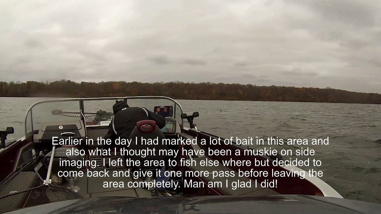 Monster Muskie from Mille Lacs Lake