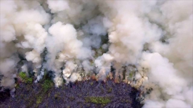 California's National Forests Will Be Closed Starting Tonight Due to Wildfires