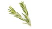 Rosemary Is the Skin Care Ingredient With Benefits That Will Inspire You To Breath Deep