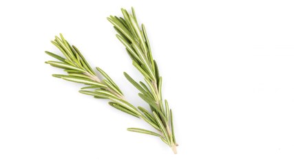 Rosemary Is the Skin Care Ingredient With Benefits That Will Inspire You To Breath Deep