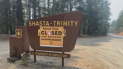 Every National Forest in California Closes Due to Growing Threat of Wildfires