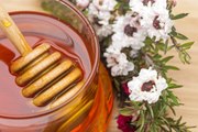 What Is Manuka Honey – and What are Its Benefits?