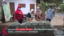 Omzet Jutaan, Ibu Rumah Tangga Sukses Bisnis Ikan Cupang