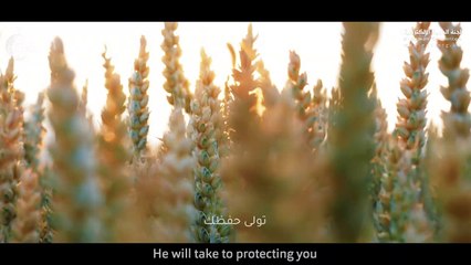 59. فمنهم شقيٌ وسعيد ( من روائع ) الدكتور محمد راتب النابلسي