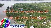 Nông thôn ngày nay: Các xã cù lao huyện Long Hồ nỗ lực giữ vững vùng xanh