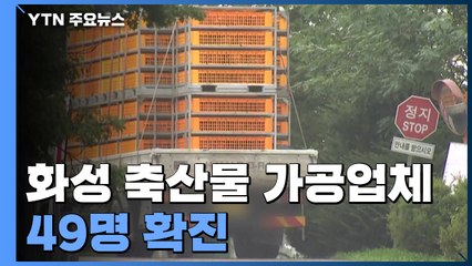 화성 축산물 가공업체 49명 확진...수원·성남 유치원 집단감염 / YTN