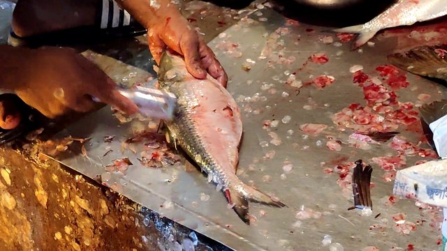 Fastest Ilish(Hilsha) Fish Cutting | Incredible Huge Fish Cutting Live In Fish Market 2021