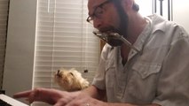 Owner Plays Harmonica and Piano Simultaneously While Their Dog Sings Along Melodiously