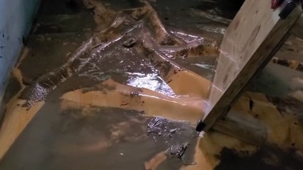 충남 홍성에 180mm 넘는 많은 비...주택침수 등 피해 속출 / YTN