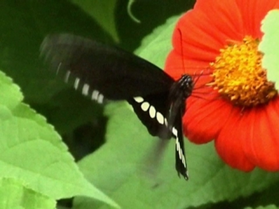 naturaleza