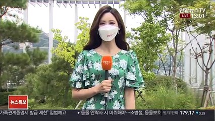[날씨] 영동·남부 오후까지 강한 비…중부 한낮 선선