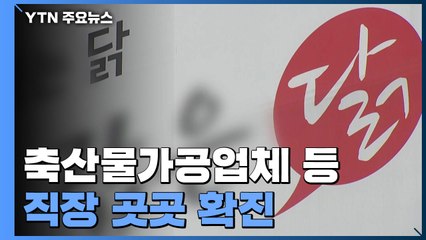 축산물가공업체 등 직장 곳곳 확진...학원 감염도 확산 / YTN