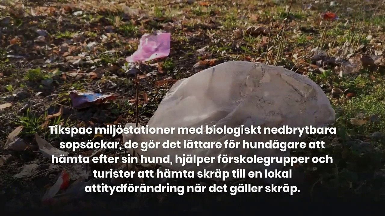 Tikspac | Enkla sätt att spara miljön - Vad kan du göra för att hjälpa till att rädda miljön.