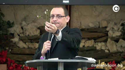 Tomando en serio la palabra de Dios