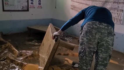 충남 홍성에 180mm 넘는 많은 비...주택침수 등 피해 속출 / YTN