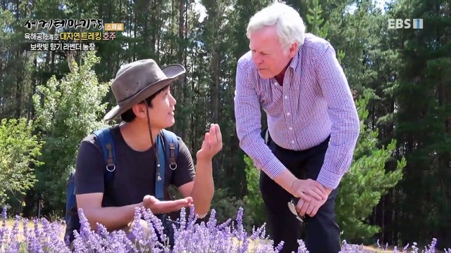 세계테마기행 - 육해공 대자연 트레킹- 순수의 섬, 테즈메이니아_#002