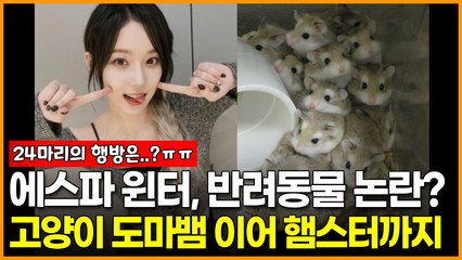 에스파 윈터, 반려동물 논란? 고양이-도마뱀 이어 햄스터까지