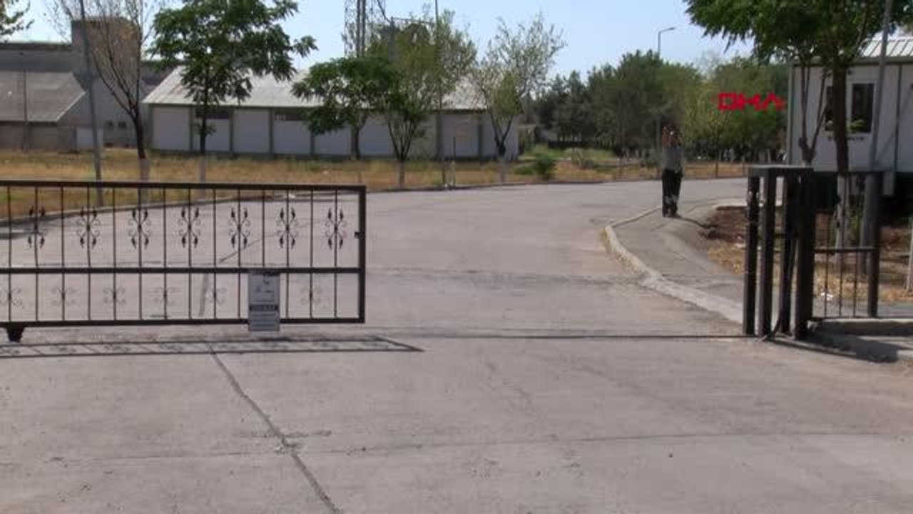 TMO'DA ARPA KUYRUĞU