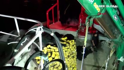 İstanbul'da balıkçılar ilk ağlarını bereketiyle çekti