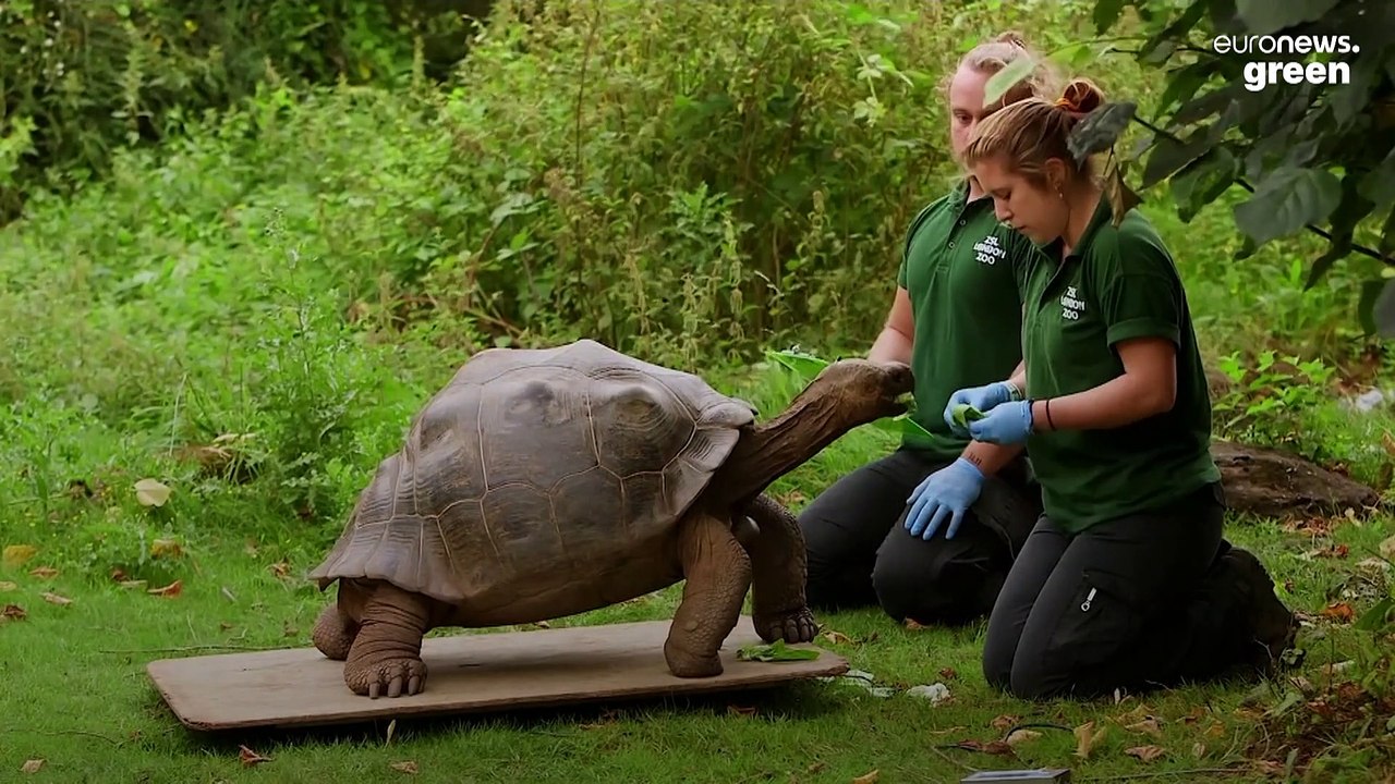 A moment on the lips: London Zoo takes the measure of its occupants