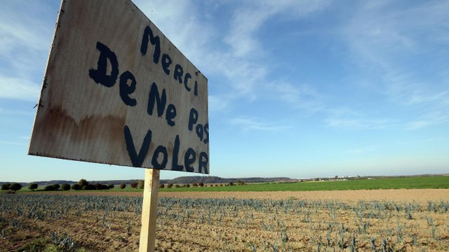 Un agriculteur surprend des voleurs de légumes dans son champs et se venge d'une façon géniale