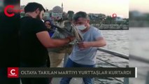 Üsküdar’da balıkçı oltasına dolanan martıyı yurttaşlar kurtardı