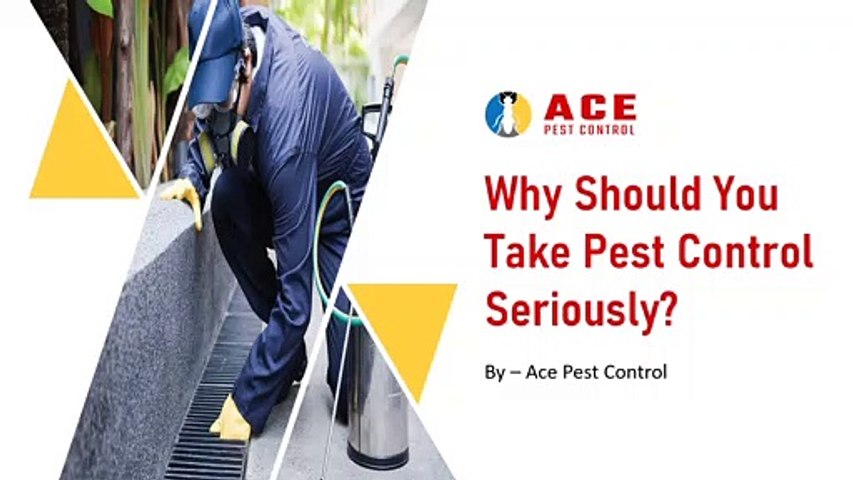 Why Should You Take Pest Control Seriously ? Hire Ace Pest Control Now!!