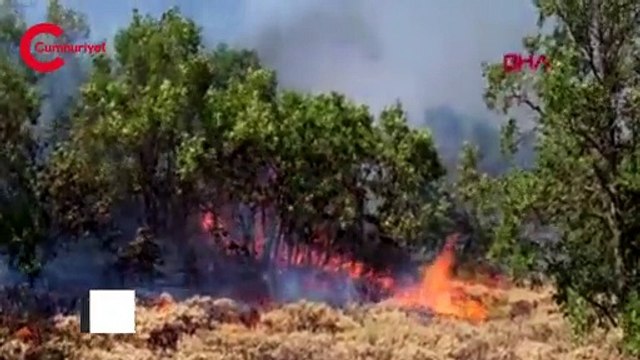 Bingöl’deki orman yangını 5'inci günde: Alevler ilçe merkezine ilerliyor