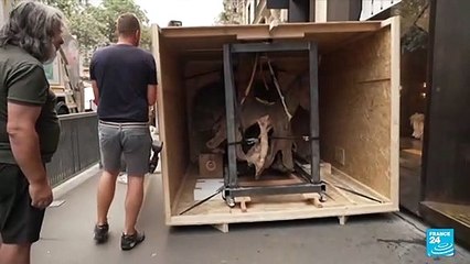 Meet 'Big John': World's biggest triceratops on sale in Paris