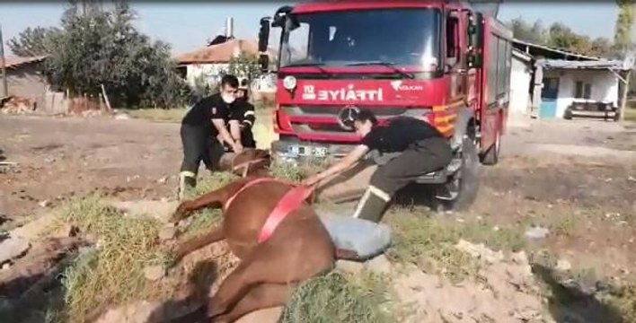 FOSEPTİĞE DÜŞEN ATI, İTFAİYE KURTARDI