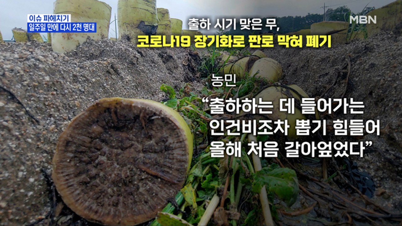 MBN 뉴스파이터-다시 2천 명대·눈물의 무 폐기·추석 '백신 인센티브' 될까?