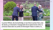 Lady Diana : Une photo inédite de la princesse dévoilée pour les 24 ans de sa mort